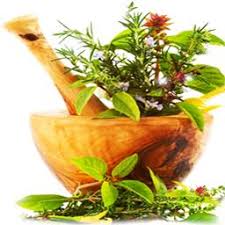 گیاهان دارویی